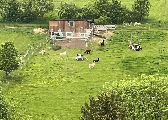 Gemuetliche 3-Zimmer-Wohnung Mit Panoramablick Und Kostenlosem Ueberdachten Parkplatz